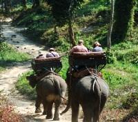 Elephant Ride Elephant Ride